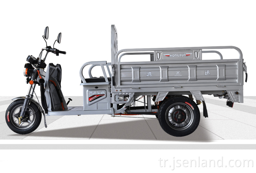 800 W Motor Small Electric Tricycle